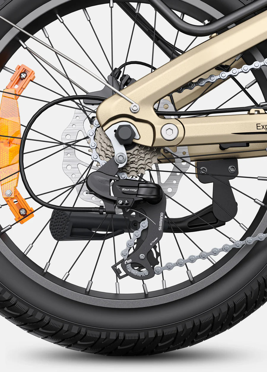 L20 3.0 Pro 250W 100Nm Mid-drive Motor Full Suspension Compact E-bike